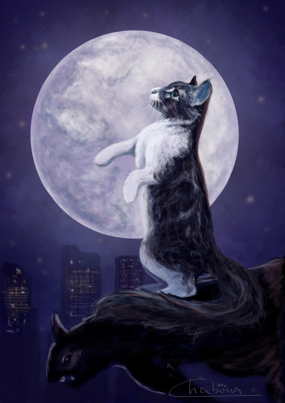CHANCHA AND THE MOON